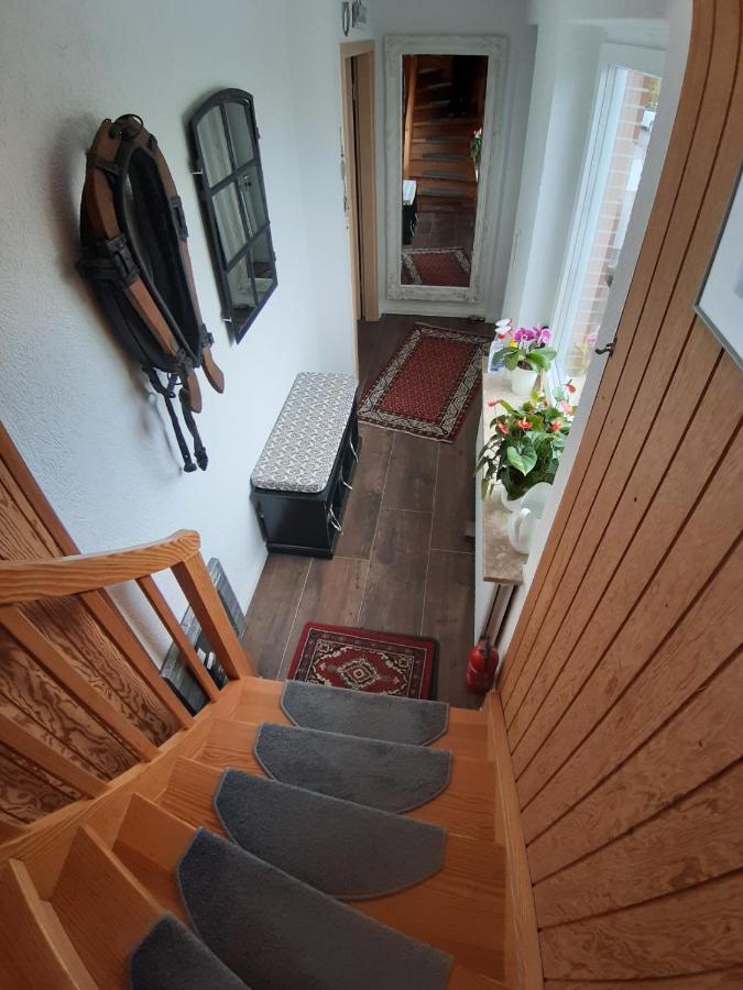 Ferienwohnung Nesthaekchen Hanerau-Hademarschen Εξωτερικό φωτογραφία